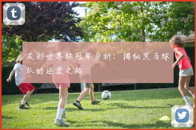 足彩世界杯冠军分析：揭秘黑马球队的逆袭之路