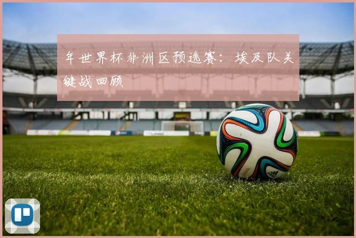 年世界杯非洲区预选赛:埃及队关键战回顾