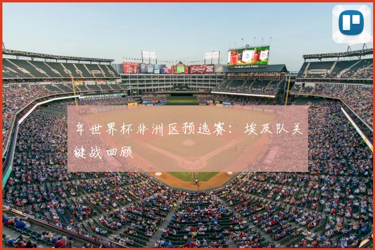 年世界杯非洲区预选赛：埃及队关键战回顾