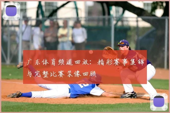 广东体育频道回放：精彩赛事集锦与完整比赛录像回顾